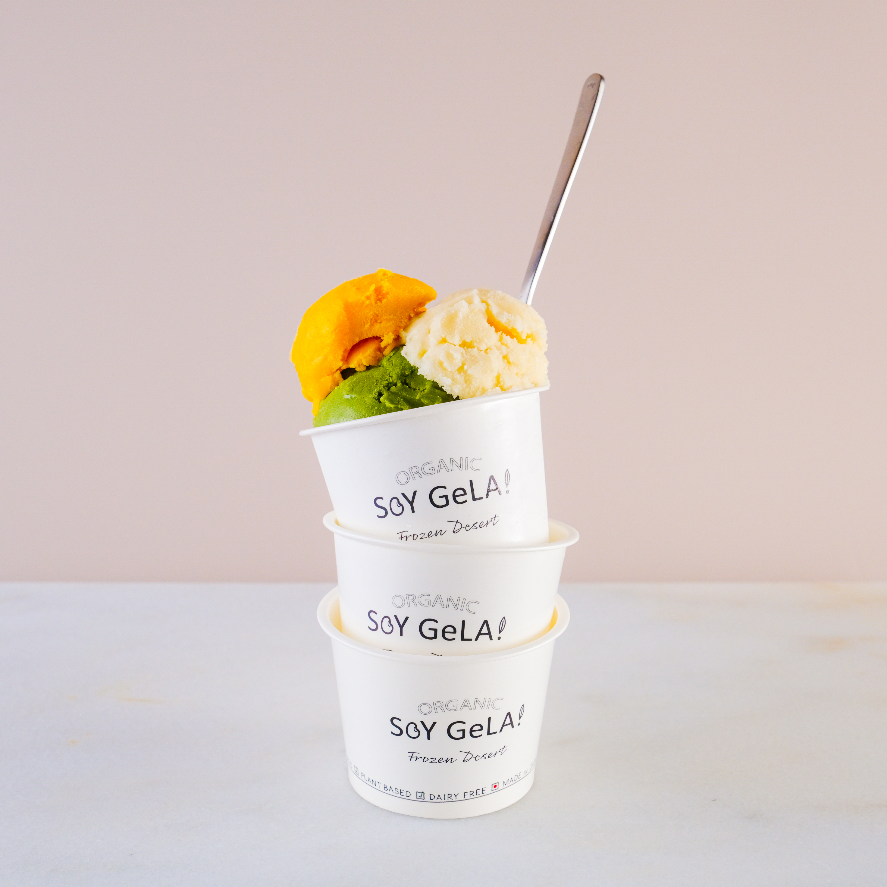 SOY GeLA! オーガニック 豆乳 ジェラート / 100ml / 6pack