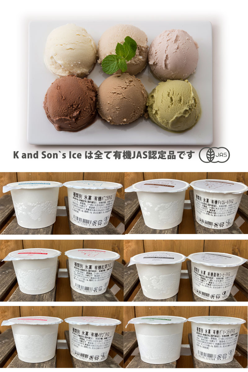 オーガニック 豆乳 アイスクリーム / 80ml 12個 / K and Son's