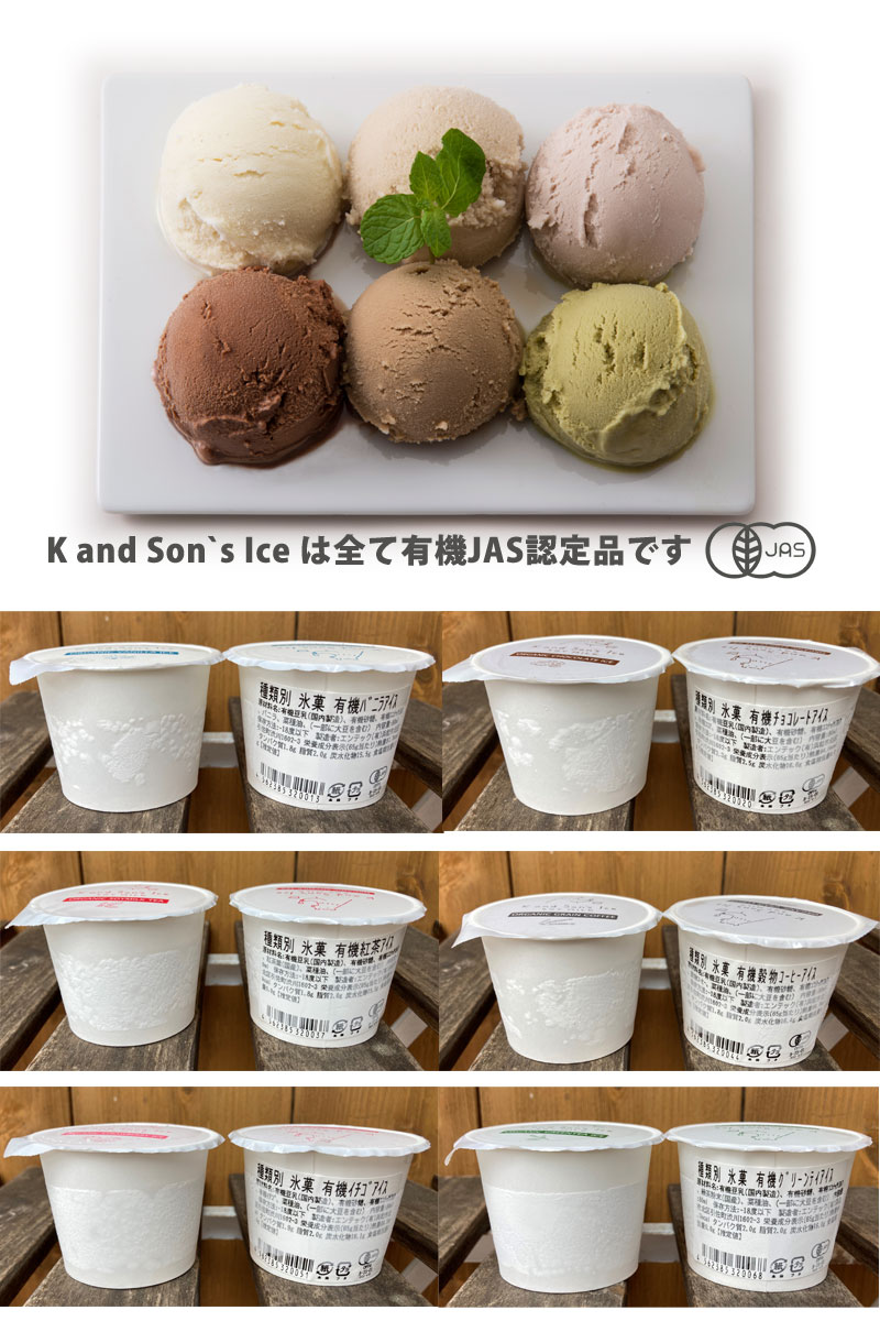 オーガニック 豆乳 アイスクリーム / 80ml 6個 / K and Son's