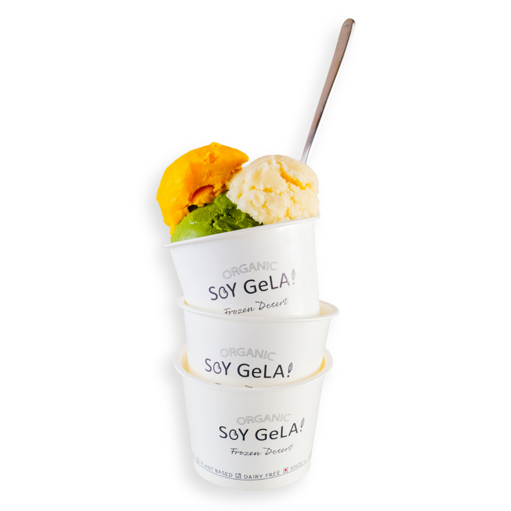 SOY GeLA! オーガニック 豆乳アイス / アソートセット / 100ml / 有機JAS