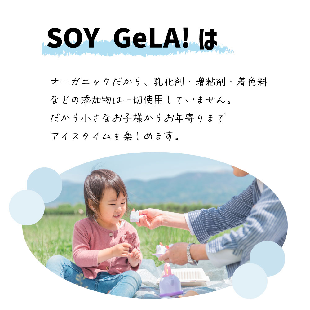 SOY GeLA! 豆乳アイス / 甘栗 / 100ml / 有機JAS