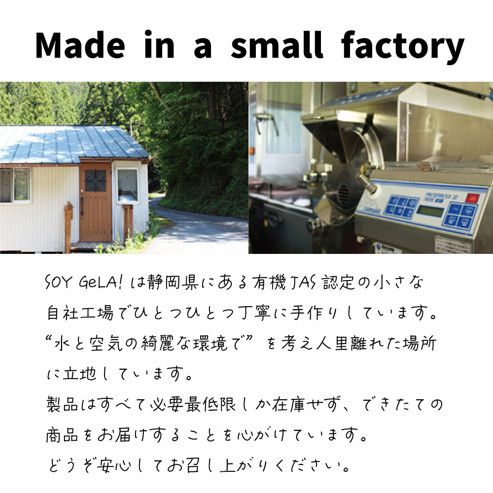 SOY GeLA! 豆乳アイス / 甘栗 / 100ml / 有機JAS