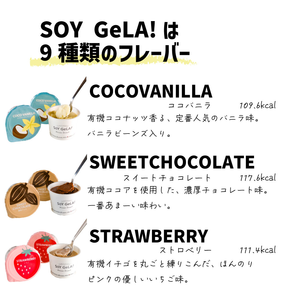 SOY GeLA! 豆乳アイス / 甘栗 / 100ml / 有機JAS
