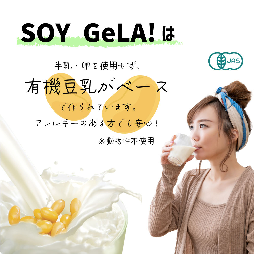 SOY GeLA! 豆乳アイス / 甘栗 / 100ml / 有機JAS