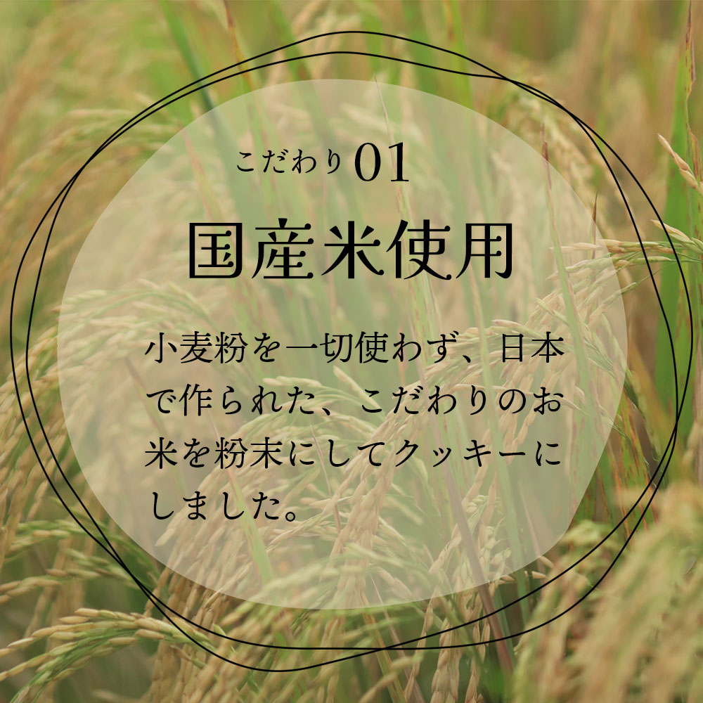 オーガニック玄米クッキー / 1袋(13粒) / 全2種 / クロスロード
