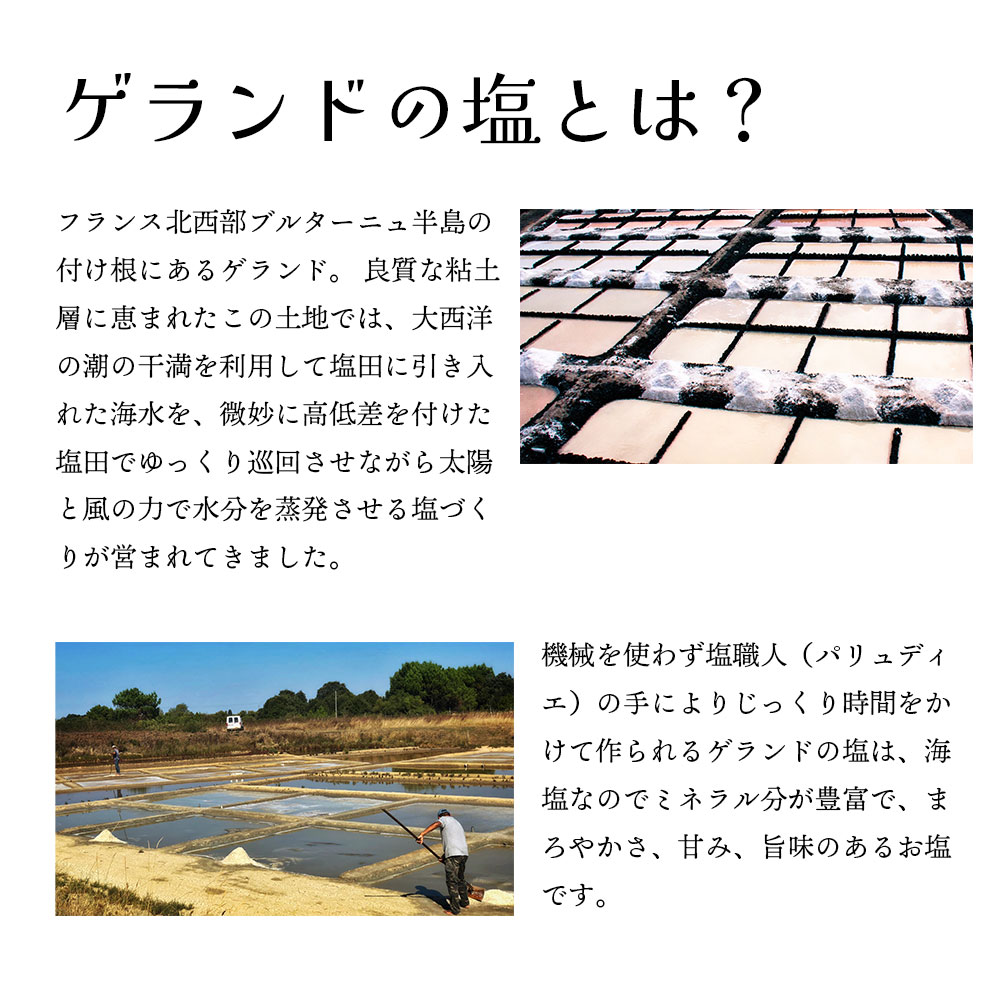 オーガニック玄米クッキー / 1袋(13粒) / 全2種 / クロスロード