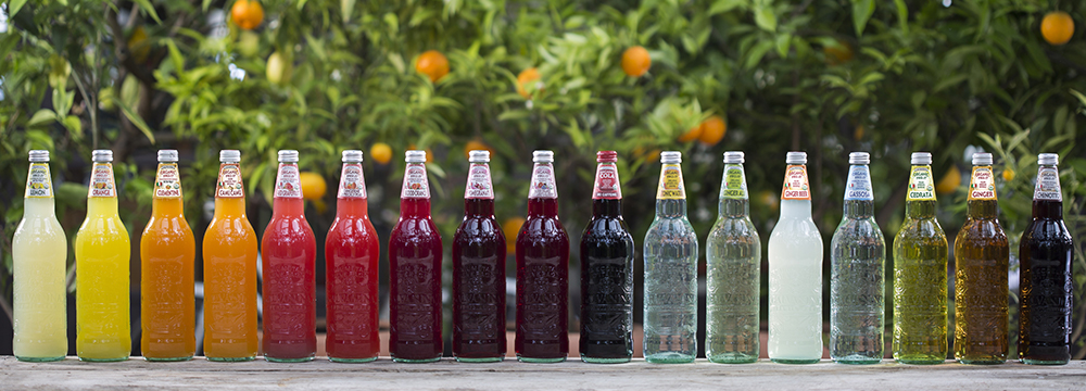 ガルバニーナ オーガニック ソーダ / ビオコーラ / 355ml / Galvanina